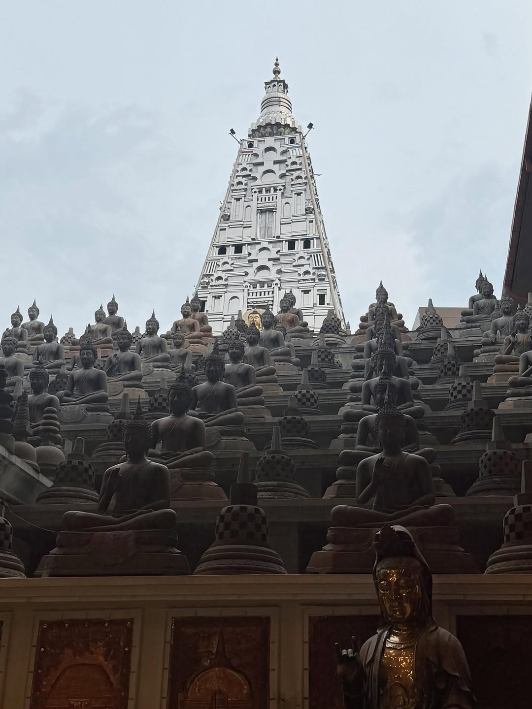 เบลล่า - ราณี แคมเปน