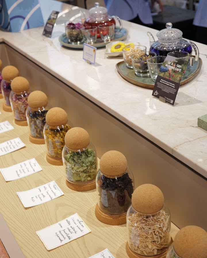 เบลล่า - ราณี แคมเปน