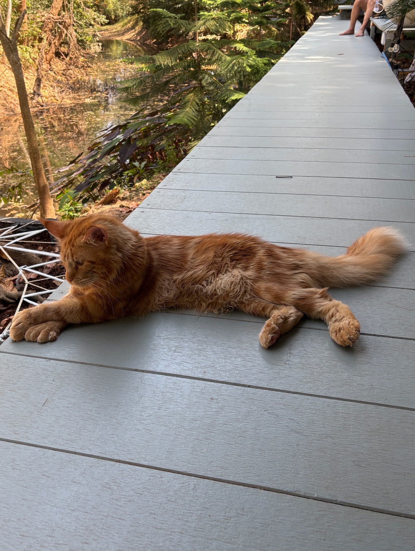 เบลล่า - ราณี แคมเปน