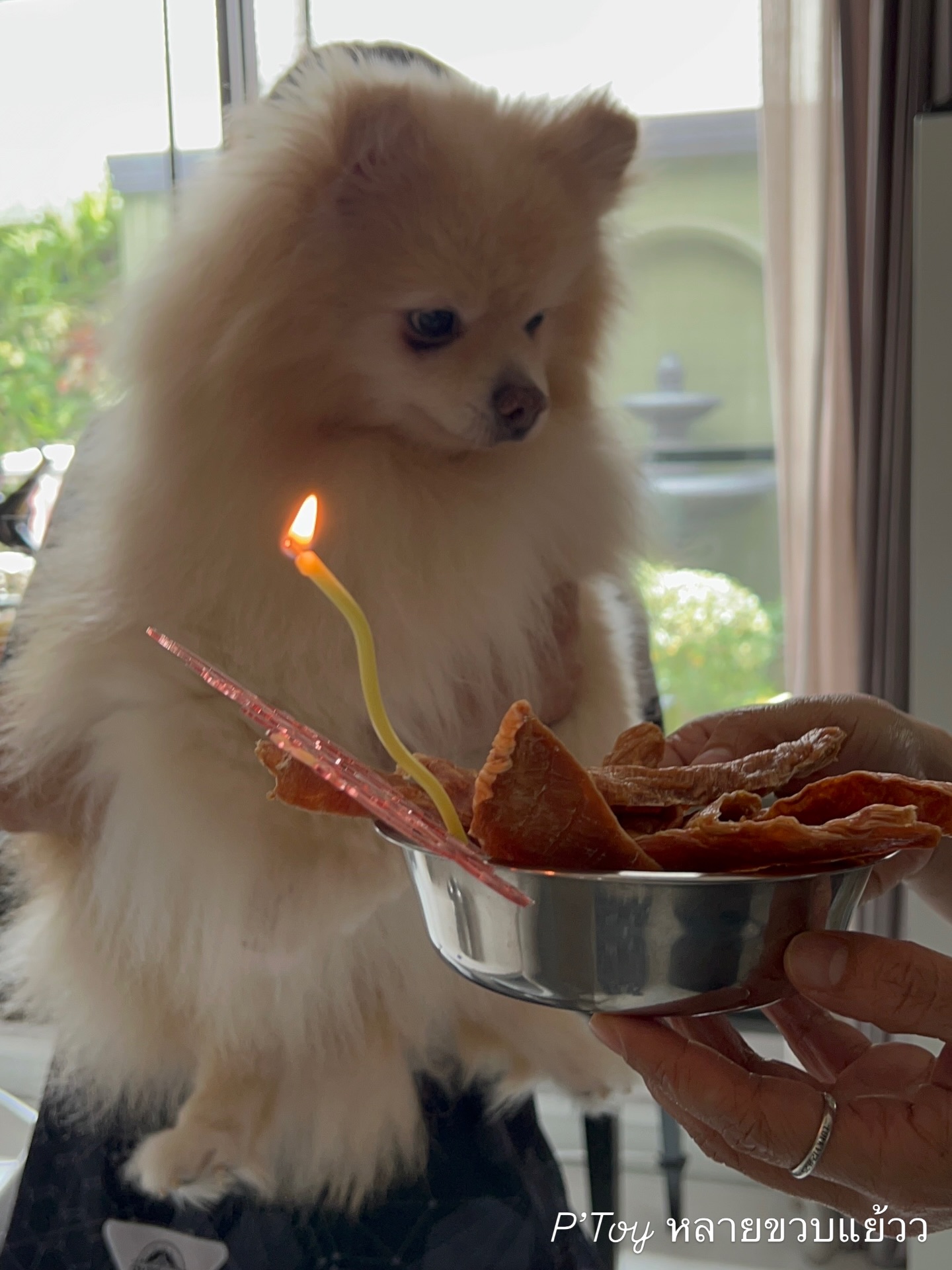 เบลล่า - ราณี แคมเปน