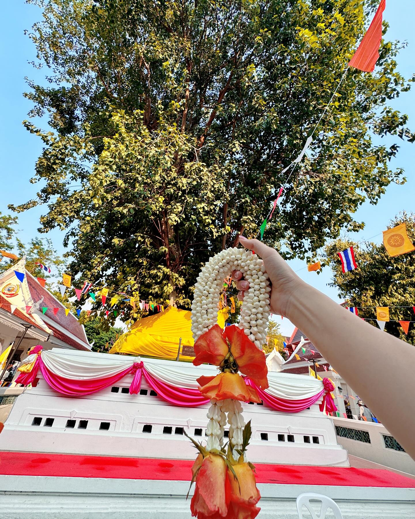 นุ้ย - สุจิรา อรุณพิพัฒน์