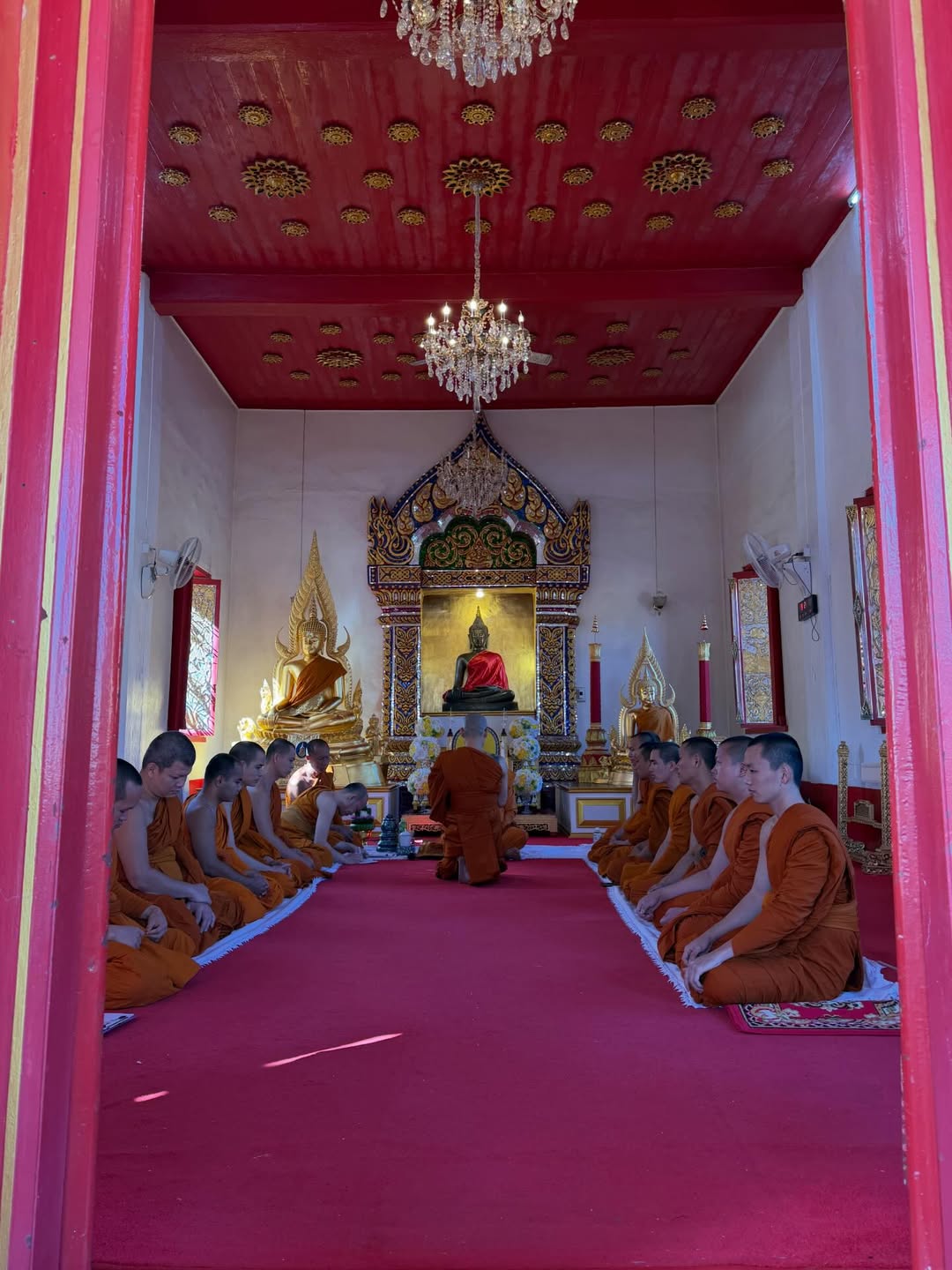 นุ้ย - สุจิรา อรุณพิพัฒน์