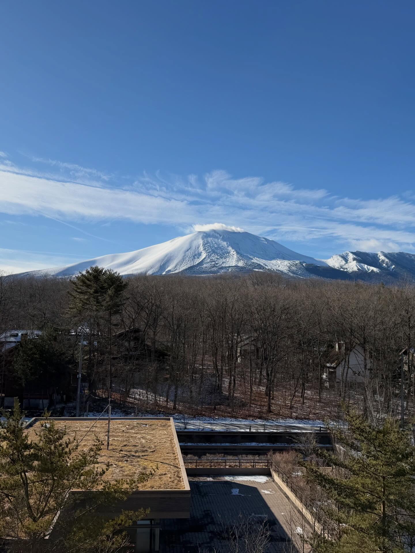 นุ้ย - สุจิรา อรุณพิพัฒน์