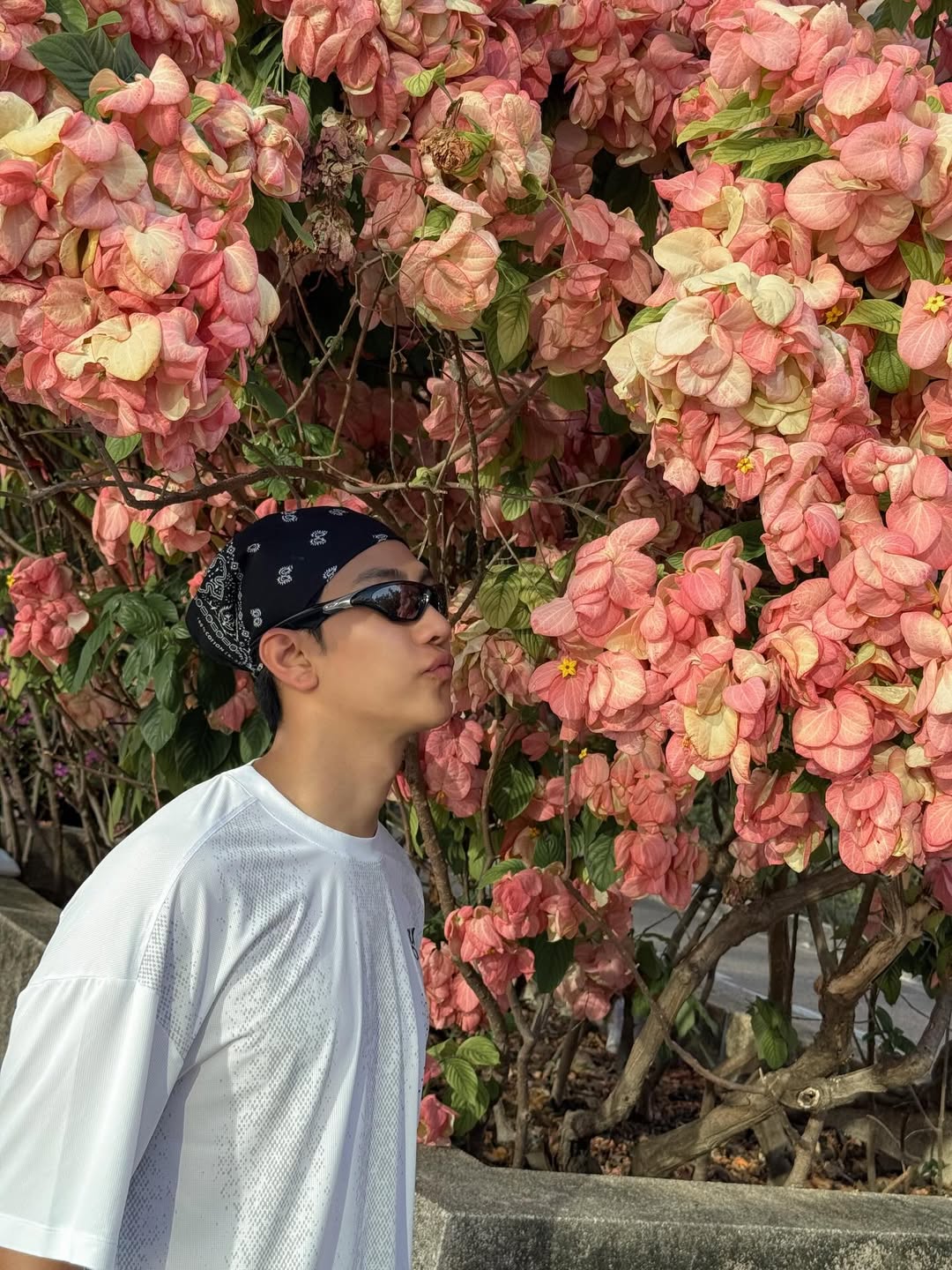 ม่อน - ธนัชชัย วิจิตรวงศ์ทอง