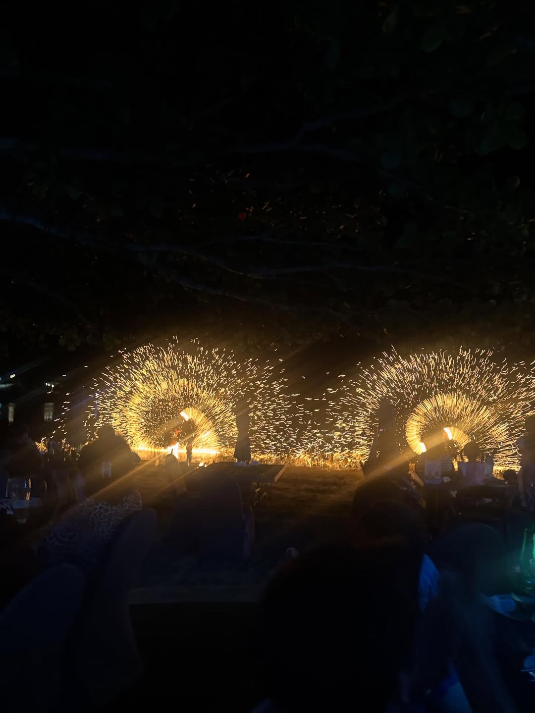 เล้ง - ธนพล อู่สินทรัพย์