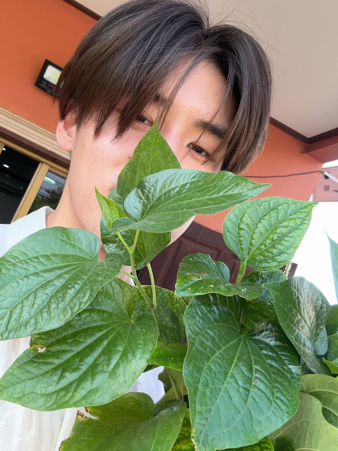 เล้ง - ธนพล อู่สินทรัพย์