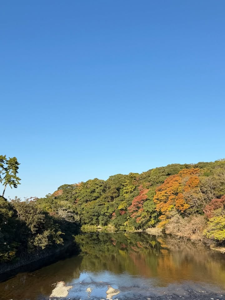 เจนิส - เจณิสตา พรหมผดุงชีพ