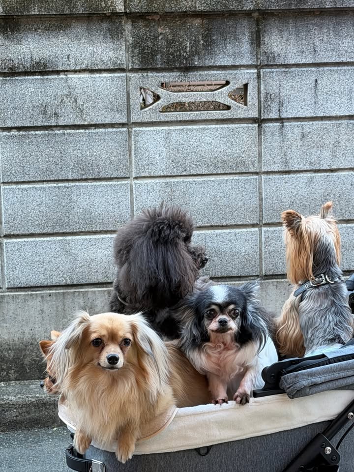 เจนิส - เจณิสตา พรหมผดุงชีพ