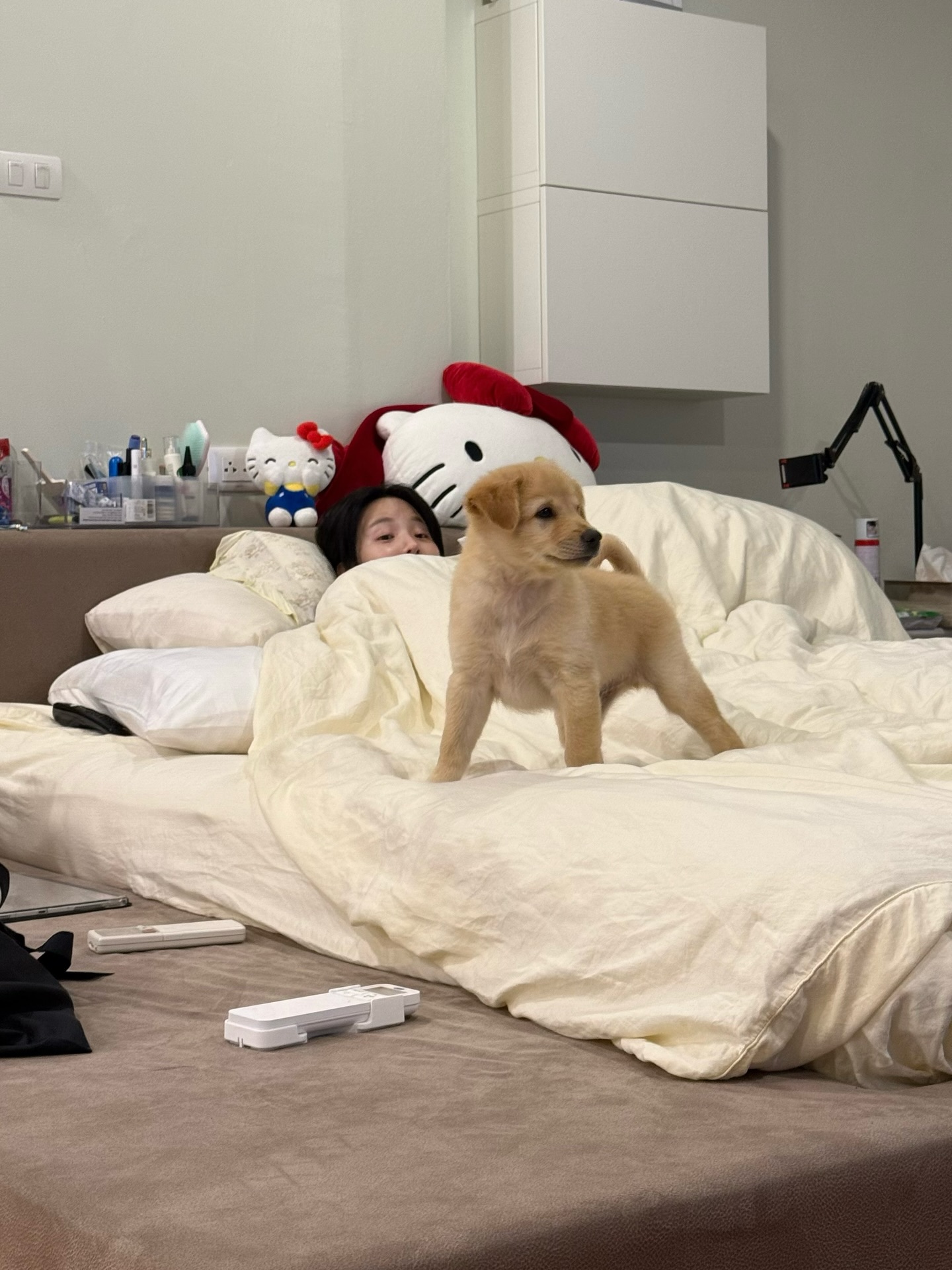 เจนิส - เจณิสตา พรหมผดุงชีพ