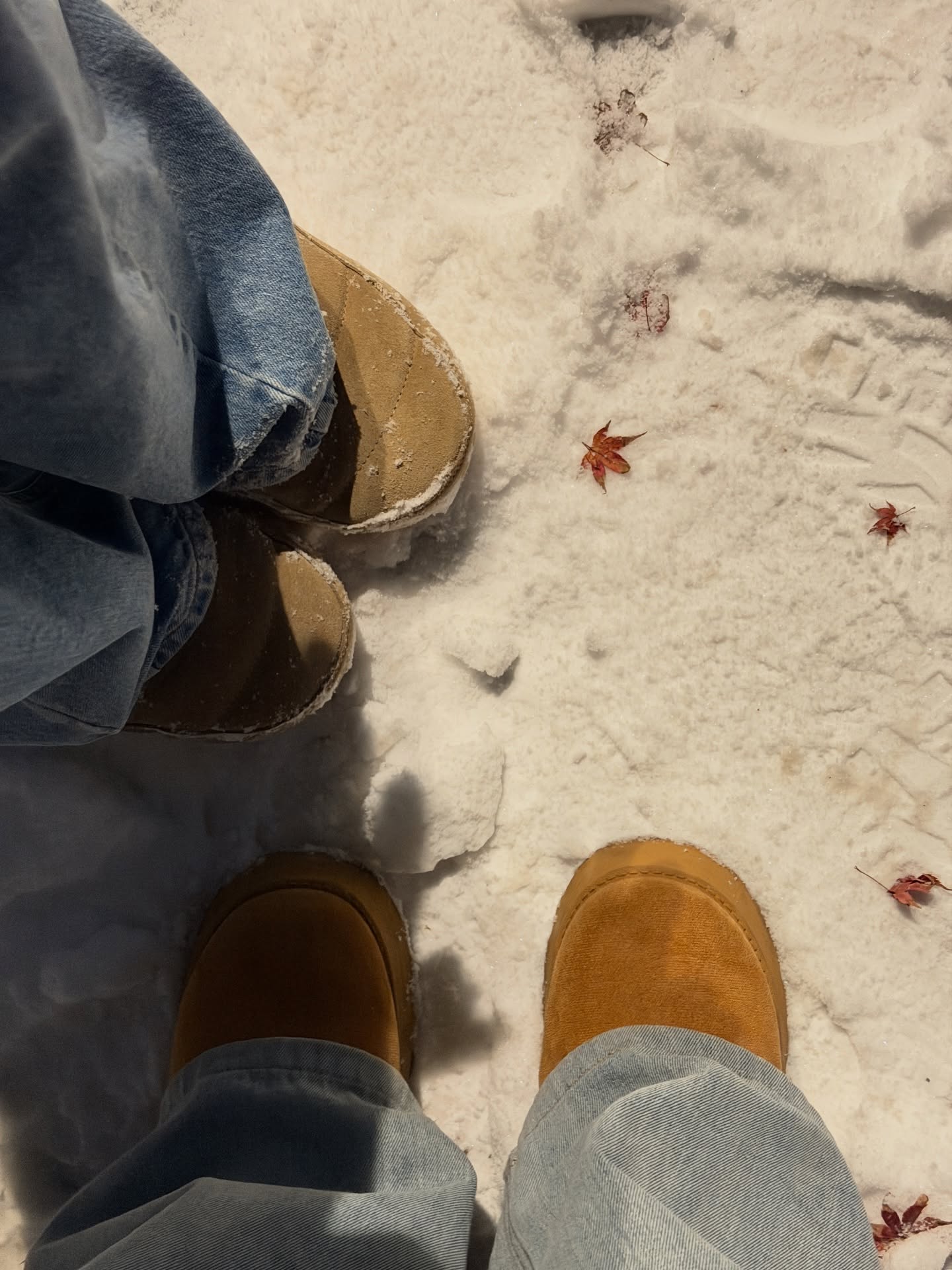 เจนิส - เจณิสตา พรหมผดุงชีพ