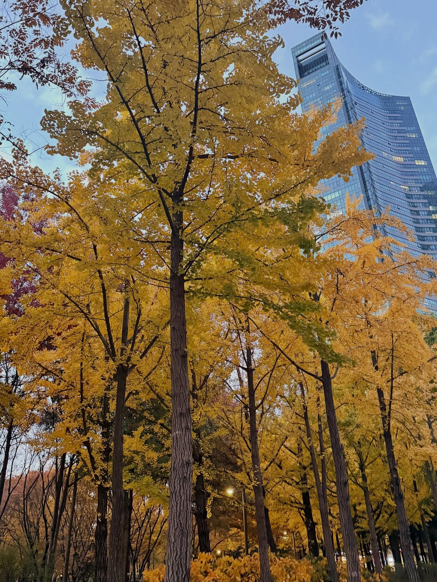 จีน่า - ญีนา ซาลาส