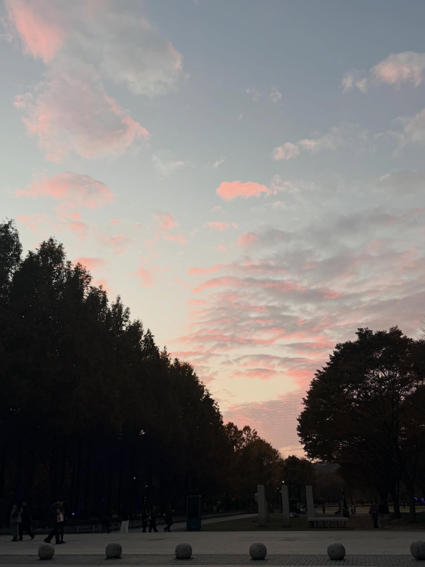 จีน่า - ญีนา ซาลาส