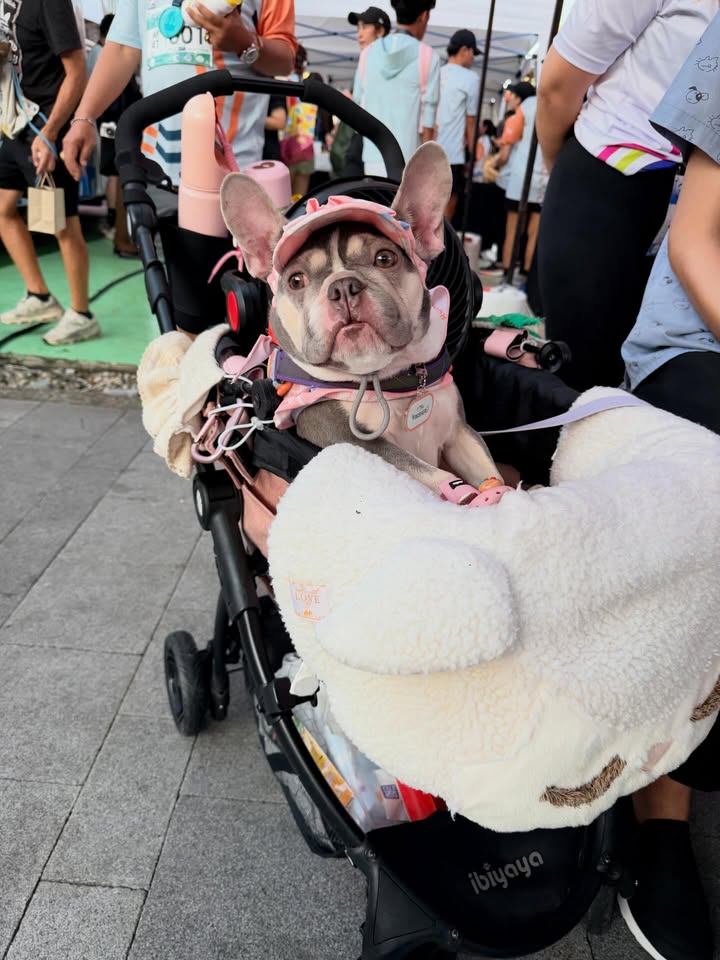 จีน่า - ญีนา ซาลาส