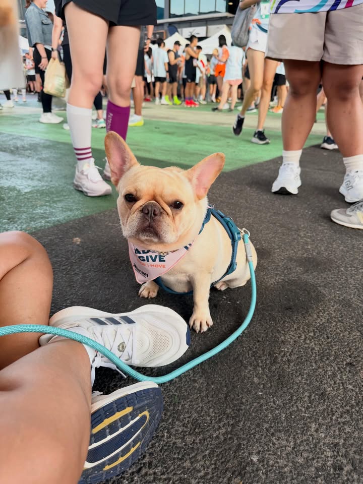 จีน่า - ญีนา ซาลาส