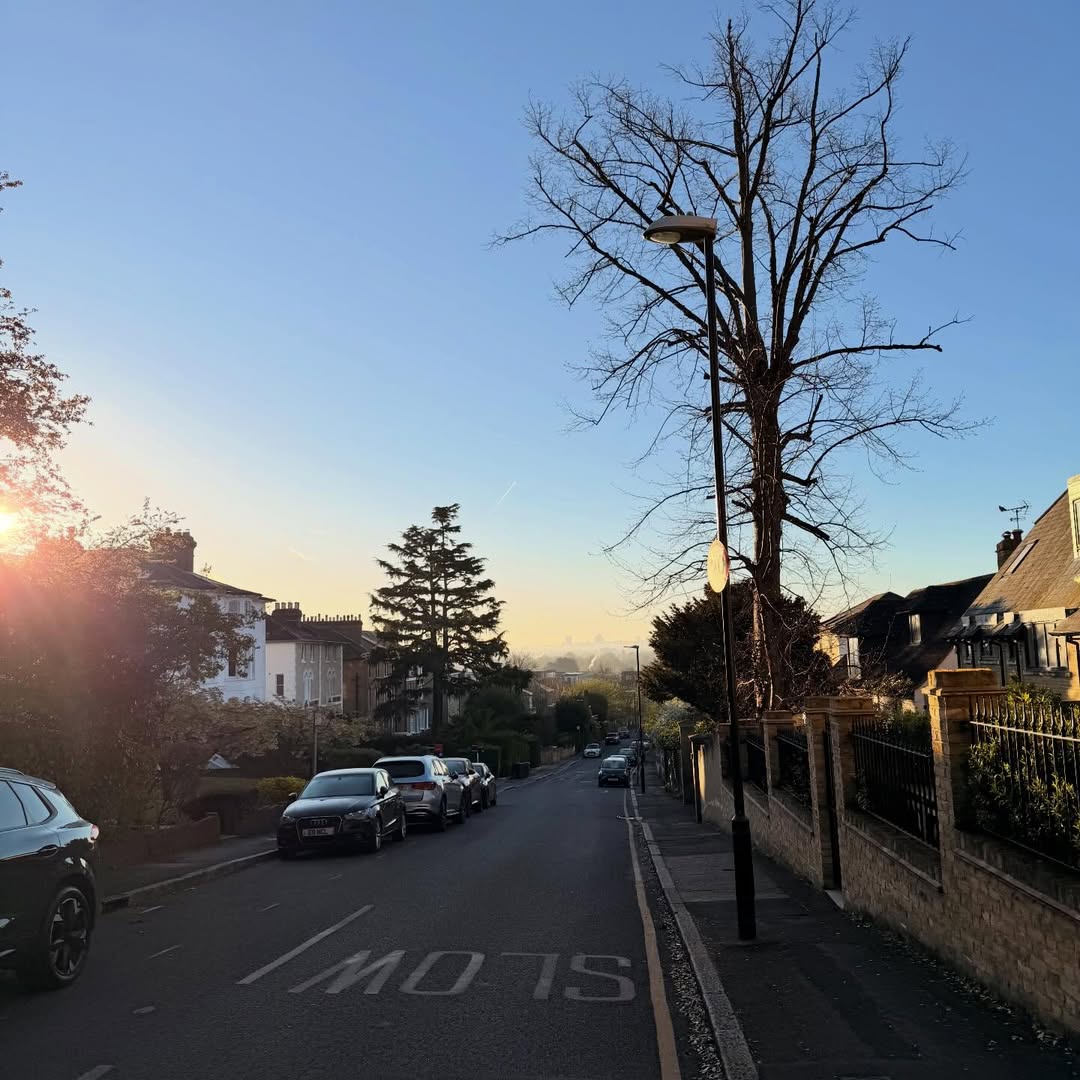 จีน่า - ญีนา ซาลาส