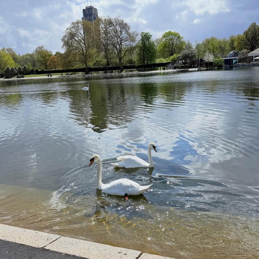 จีน่า - ญีนา ซาลาส