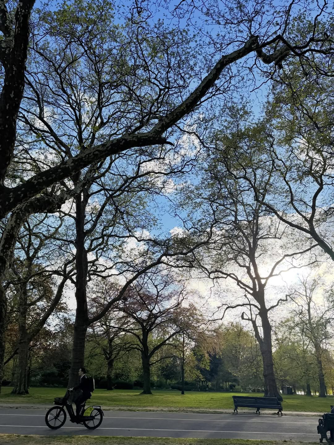 จีน่า - ญีนา ซาลาส