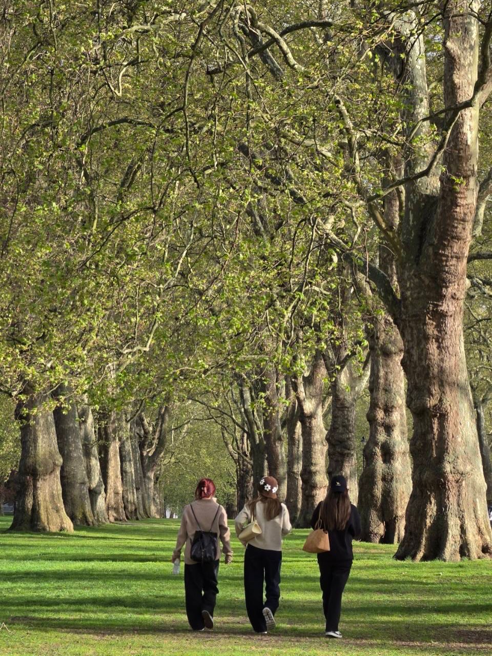 จีน่า - ญีนา ซาลาส