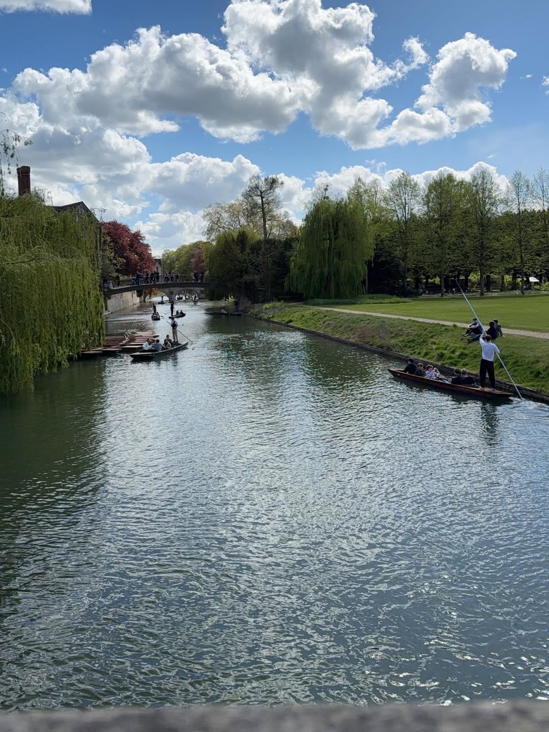 จีน่า - ญีนา ซาลาส