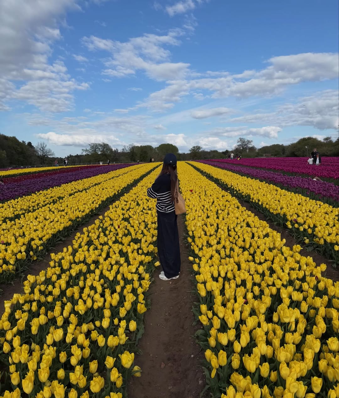 จีน่า - ญีนา ซาลาส