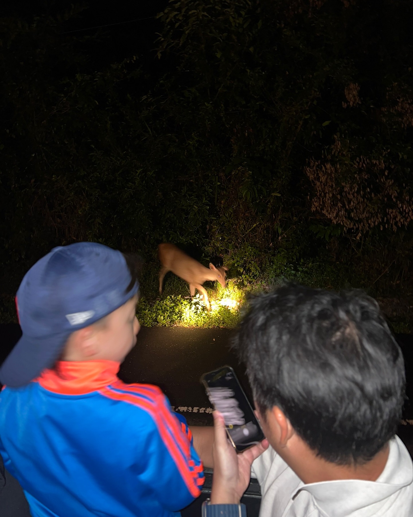 ลีเดีย - ศรัณย์รัชต์ วิสุทธิธาดา