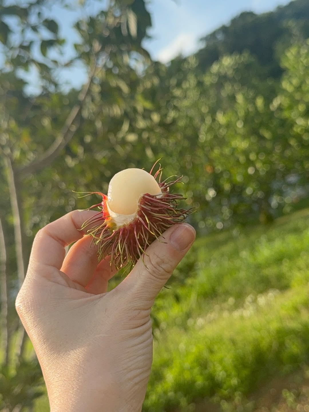 ลีเดีย - ศรัณย์รัชต์ วิสุทธิธาดา