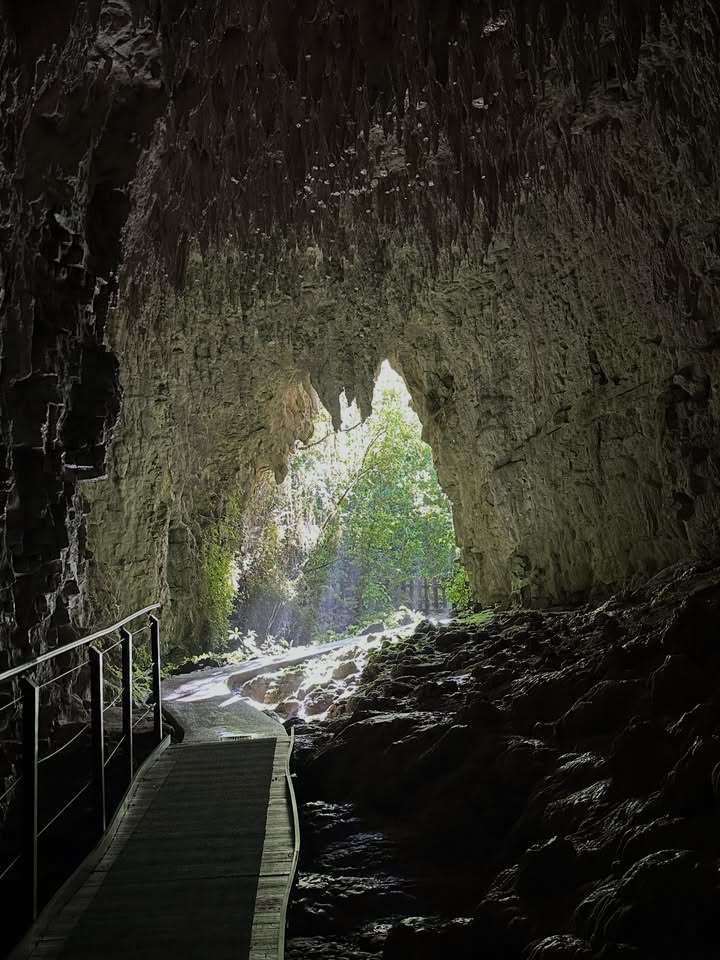 ลีเดีย - ศรัณย์รัชต์ วิสุทธิธาดา