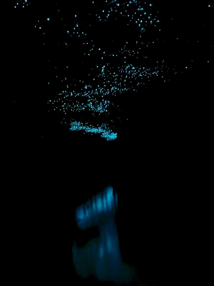 ลีเดีย - ศรัณย์รัชต์ วิสุทธิธาดา