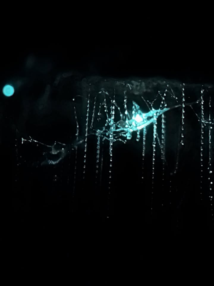 ลีเดีย - ศรัณย์รัชต์ วิสุทธิธาดา