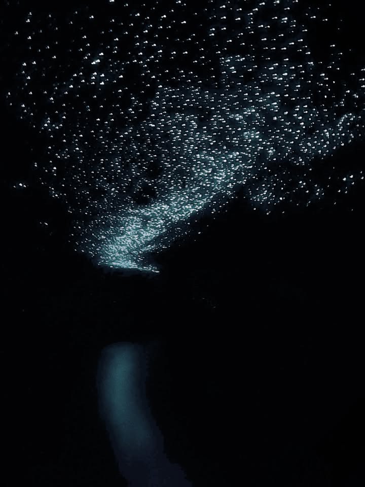 ลีเดีย - ศรัณย์รัชต์ วิสุทธิธาดา