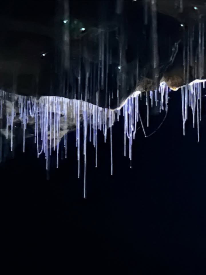 ลีเดีย - ศรัณย์รัชต์ วิสุทธิธาดา