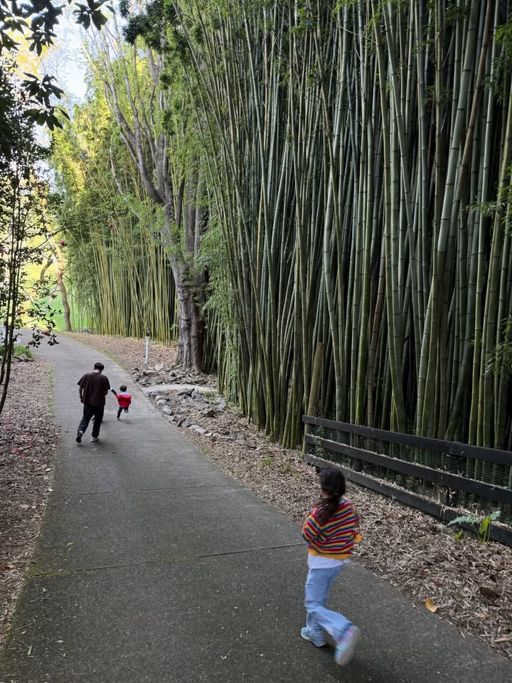 ลีเดีย - ศรัณย์รัชต์ วิสุทธิธาดา