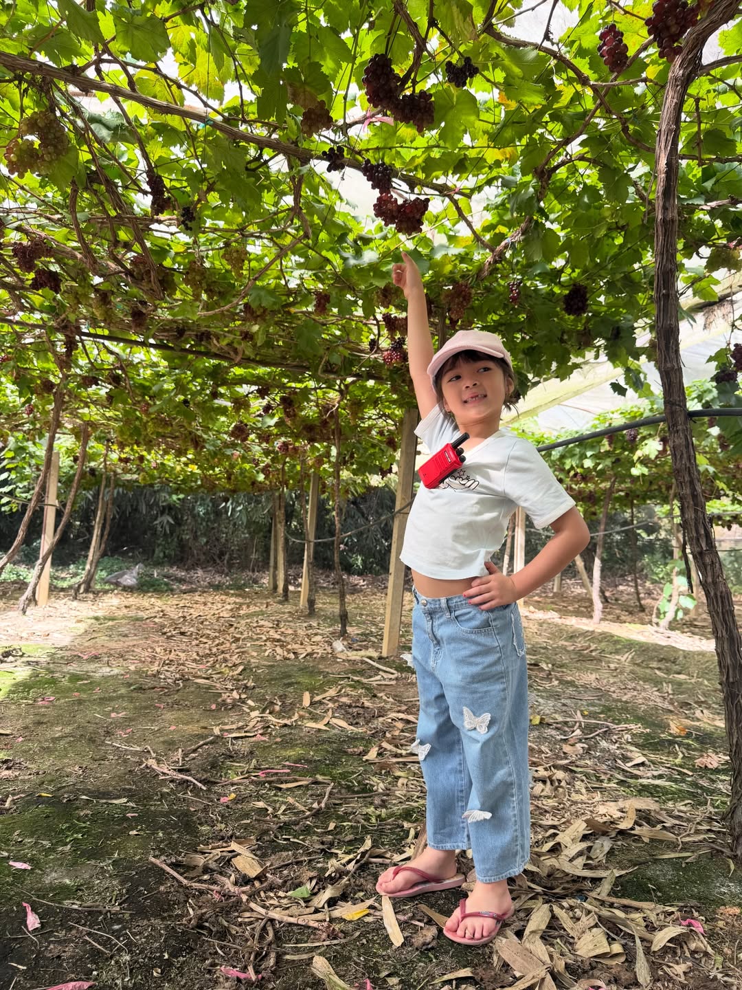 ลีเดีย - ศรัณย์รัชต์ วิสุทธิธาดา