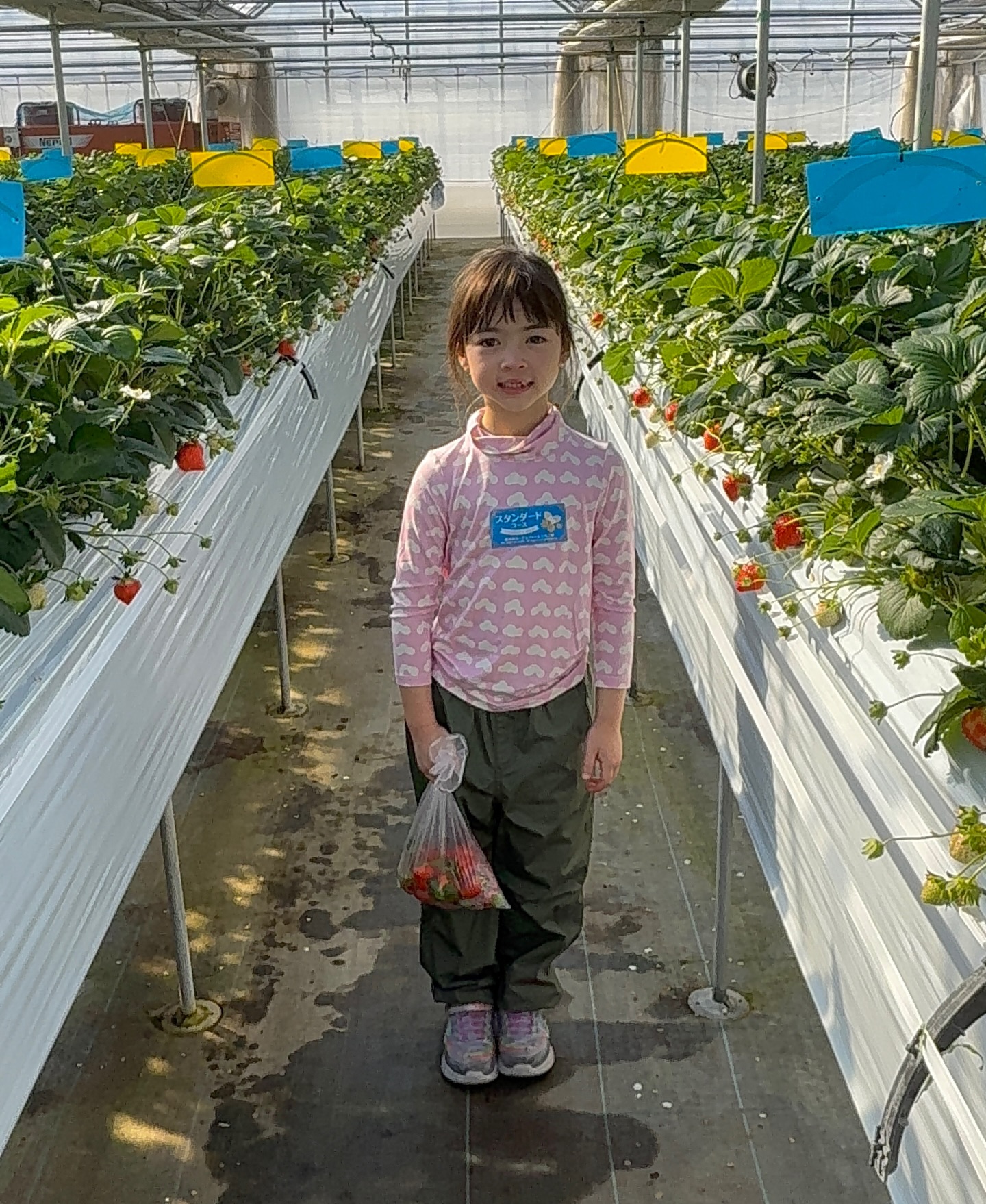 ลีเดีย - ศรัณย์รัชต์ วิสุทธิธาดา