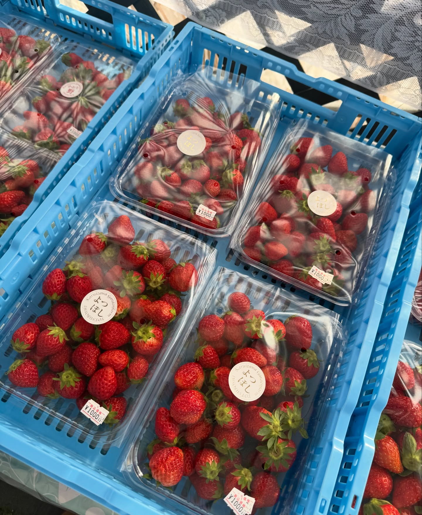 ลีเดีย - ศรัณย์รัชต์ วิสุทธิธาดา