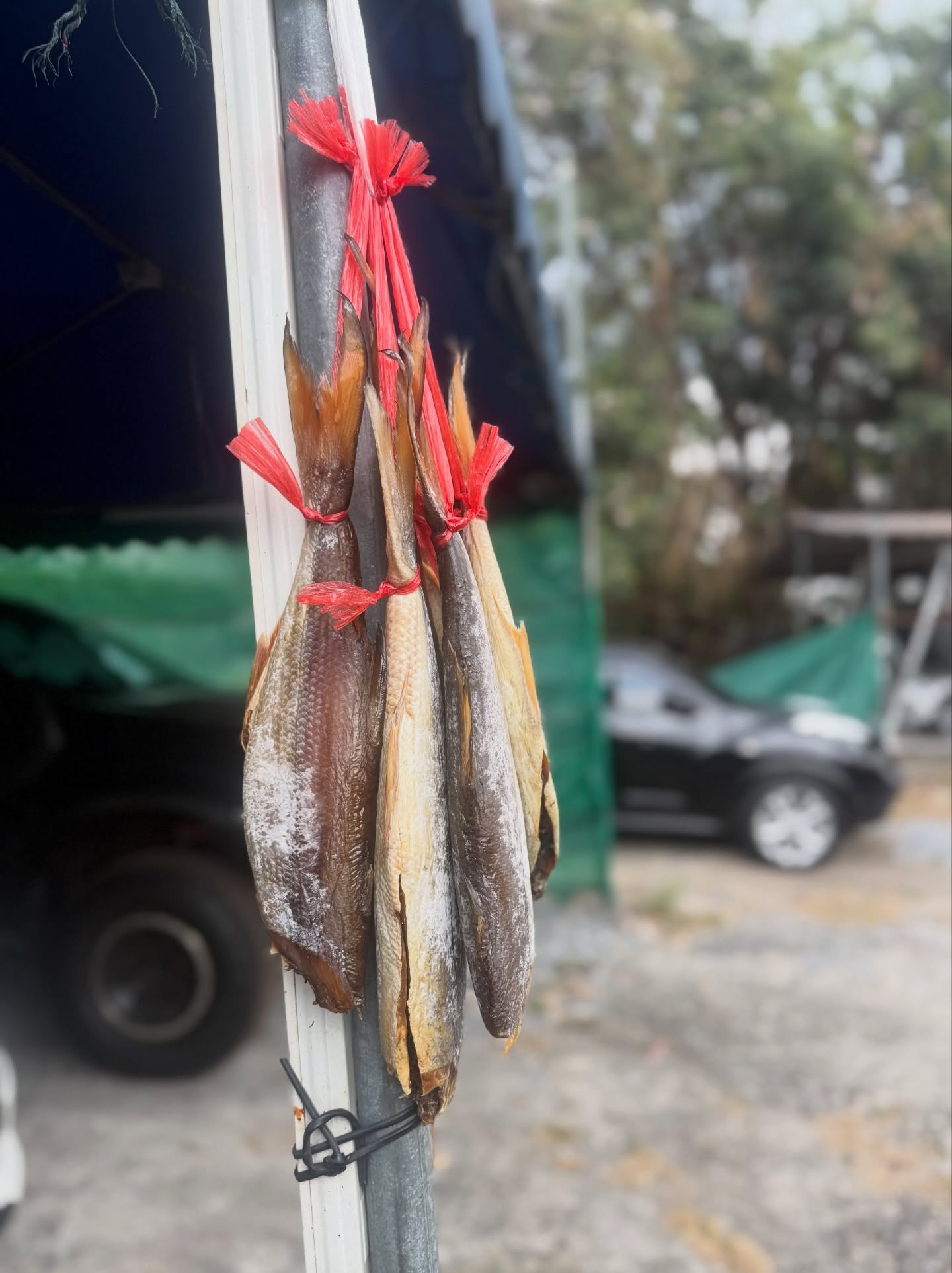 ลีเดีย - ศรัณย์รัชต์ วิสุทธิธาดา