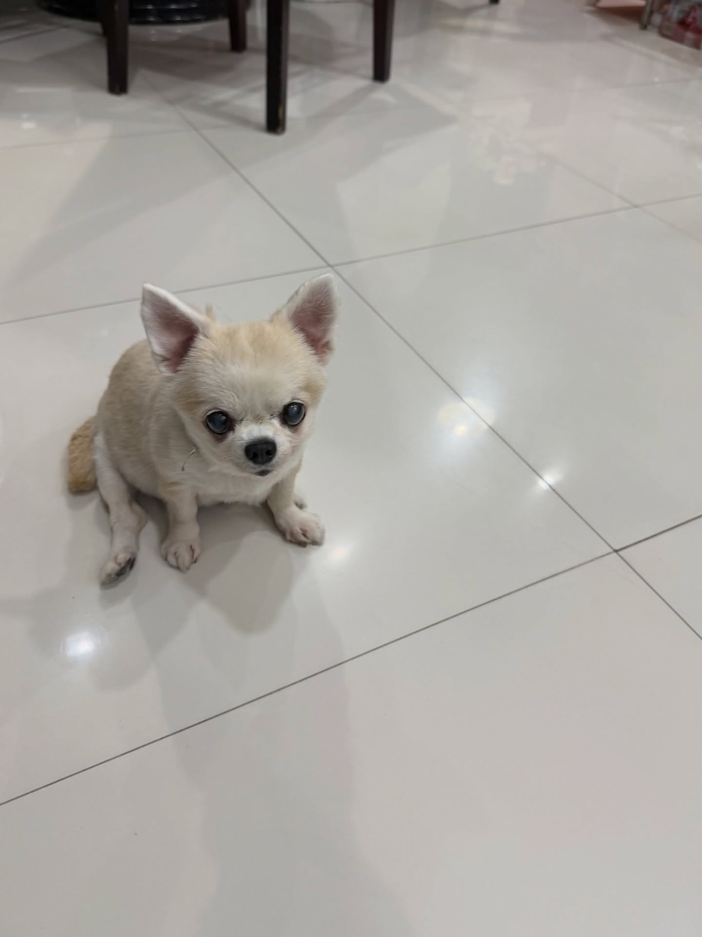 ลีเดีย - ศรัณย์รัชต์ วิสุทธิธาดา