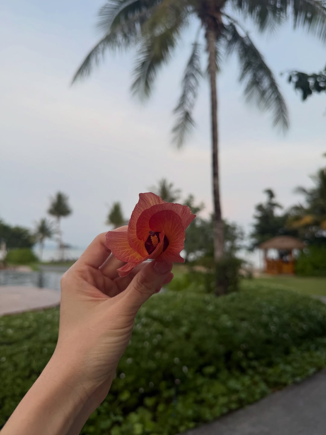 ลีเดีย - ศรัณย์รัชต์ วิสุทธิธาดา