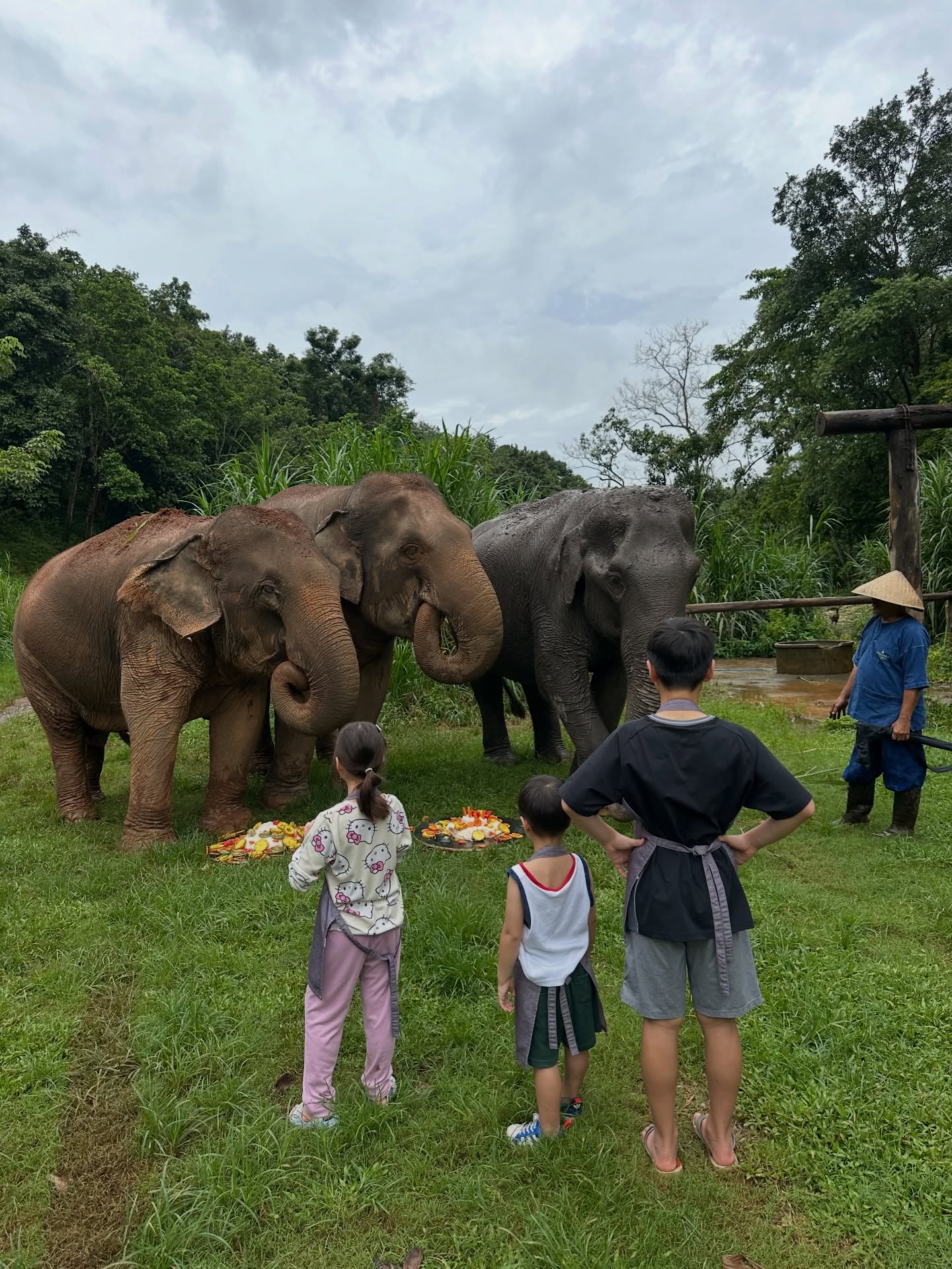 ลีเดีย - ศรัณย์รัชต์ วิสุทธิธาดา