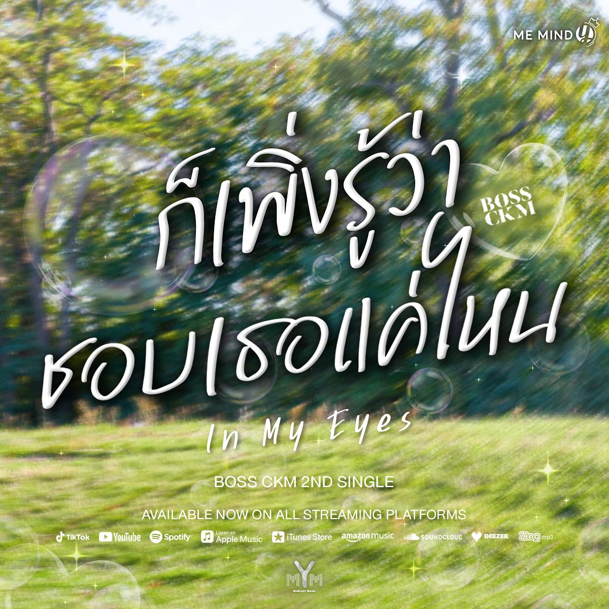 บอส - ชัยกมล เสริมส่งวิทยะ