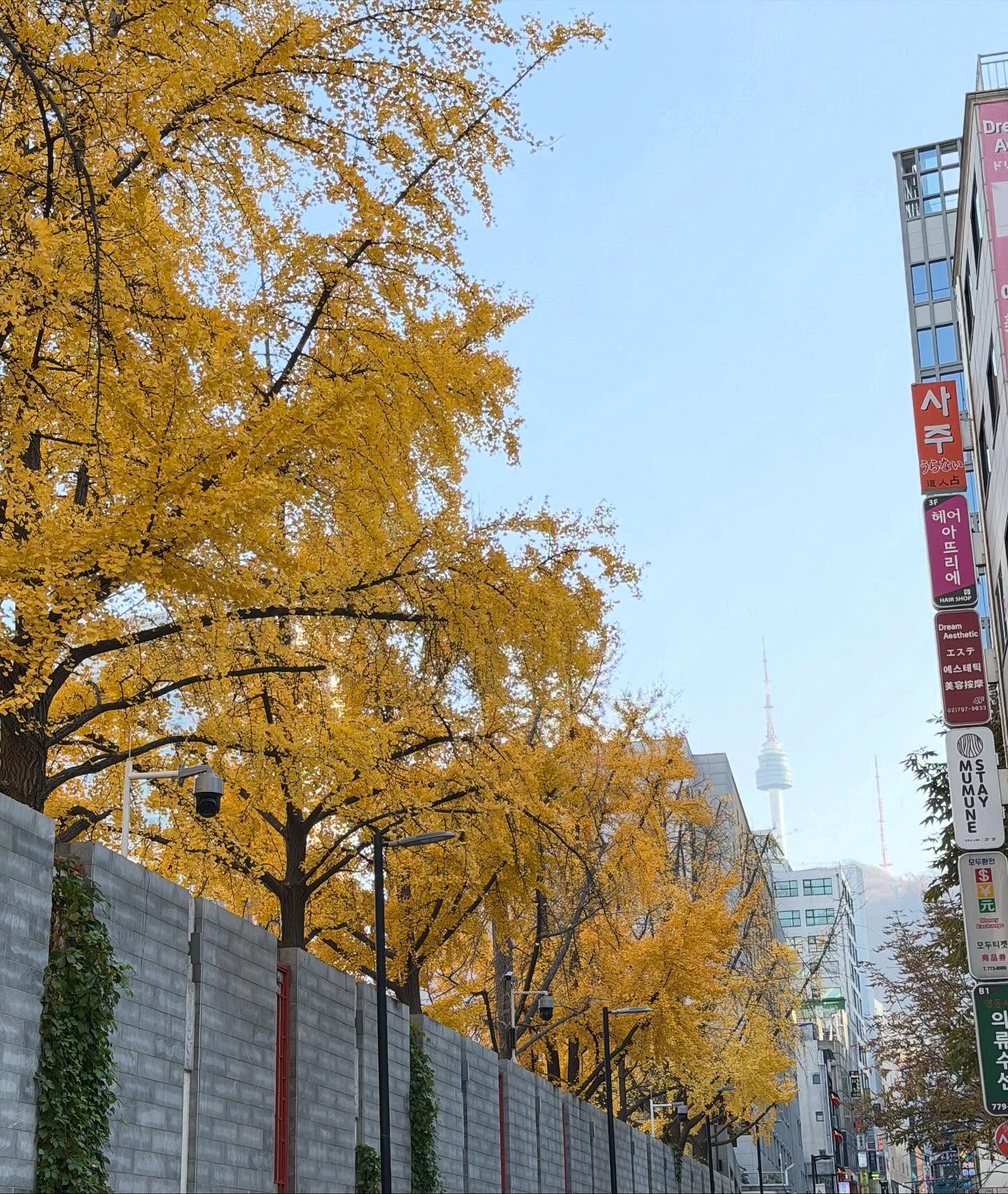 บอส - ชัยกมล เสริมส่งวิทยะ