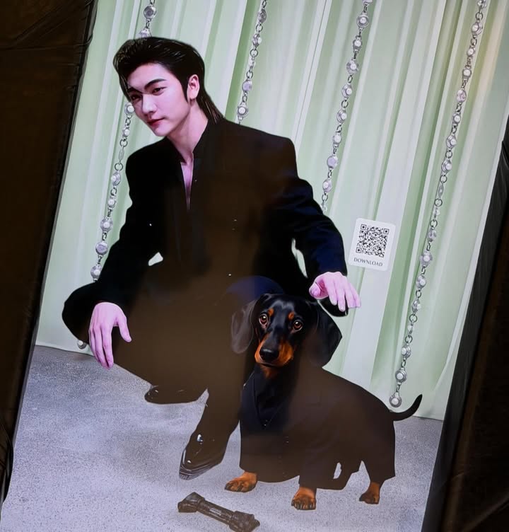 บอส - ชัยกมล เสริมส่งวิทยะ