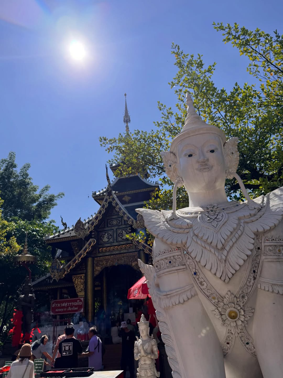 บอส - ชัยกมล เสริมส่งวิทยะ