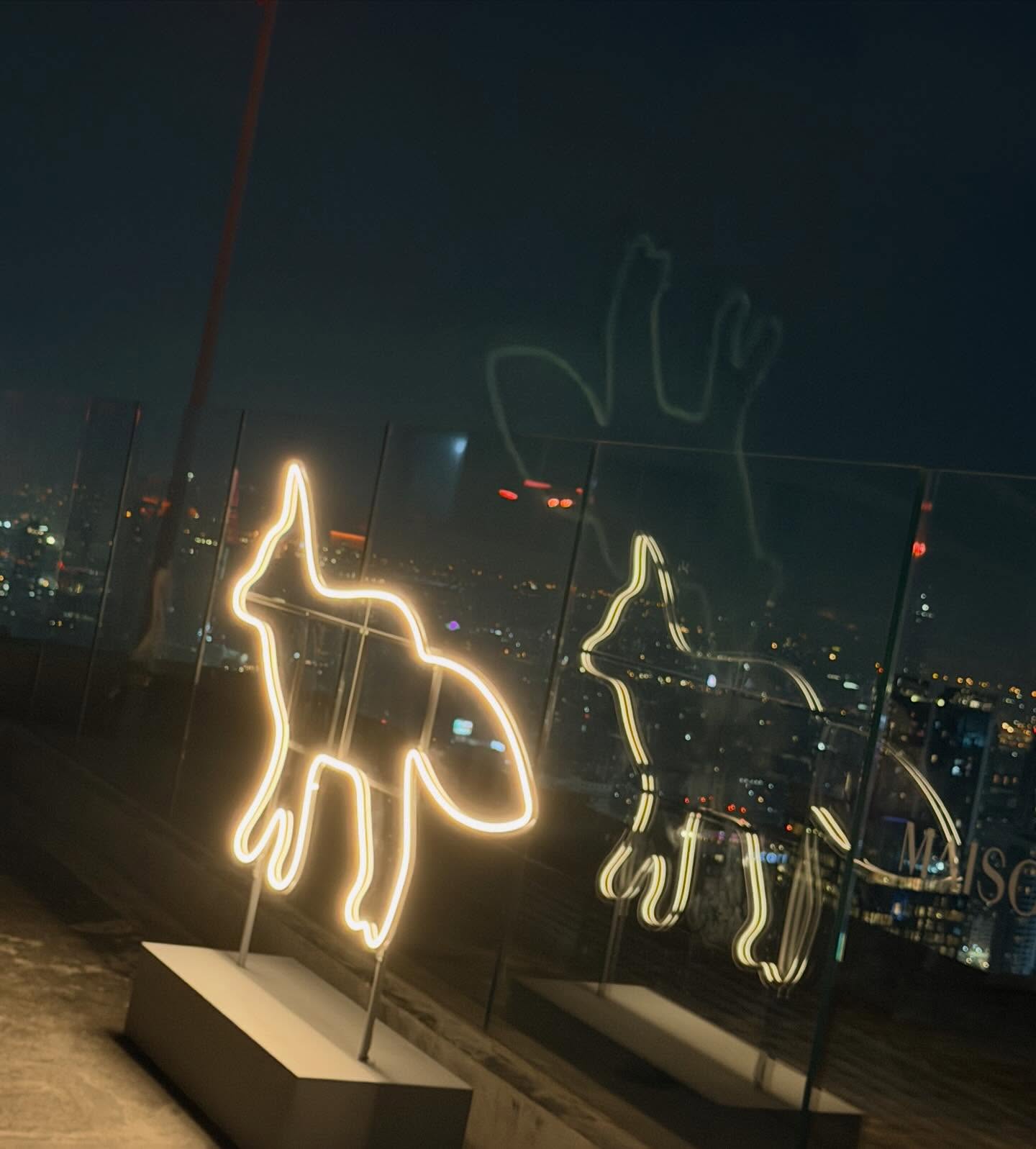 บอส - ชัยกมล เสริมส่งวิทยะ