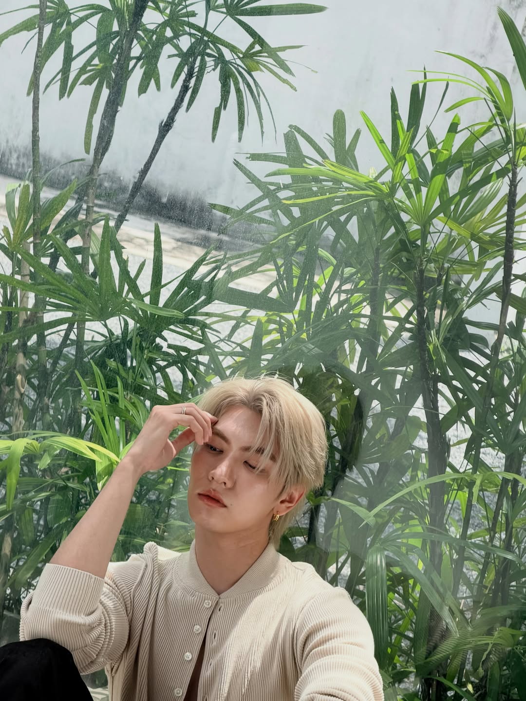 บอส - ชัยกมล เสริมส่งวิทยะ