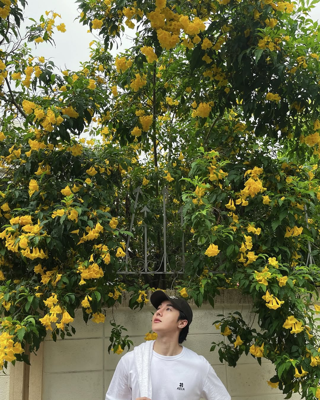 อาร์ม - วีรยุทธ จันทร์สุข
