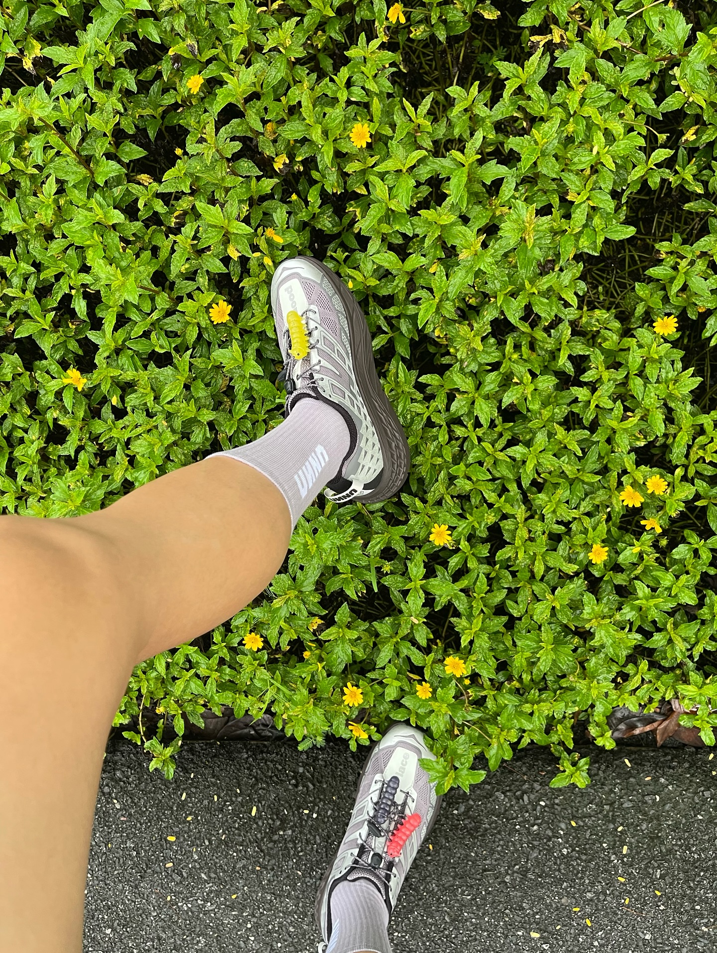 อาร์ม - วีรยุทธ จันทร์สุข