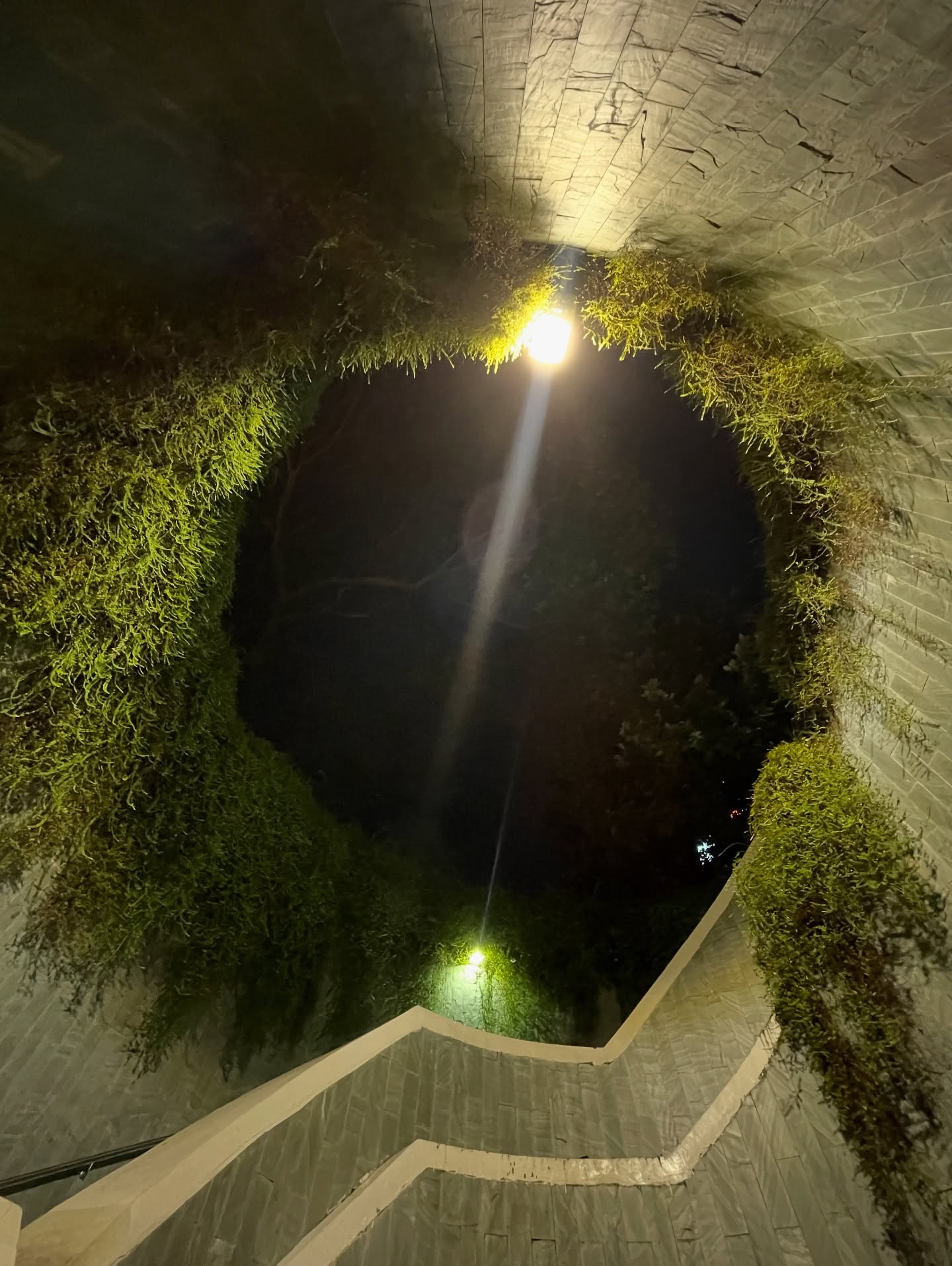 อาร์ม - วีรยุทธ จันทร์สุข