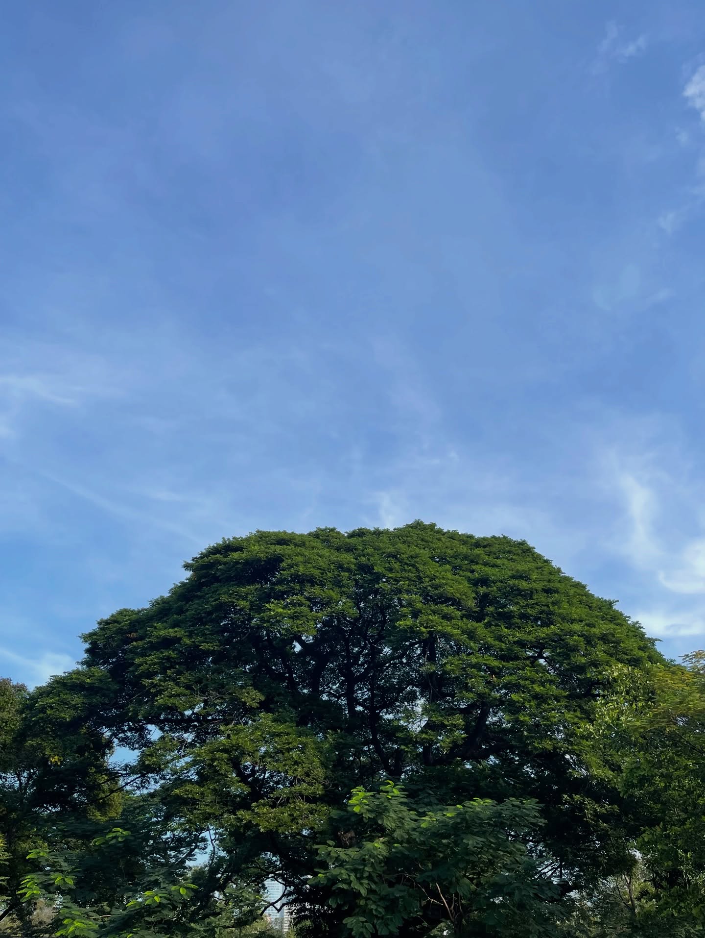 อาร์ม - วีรยุทธ จันทร์สุข