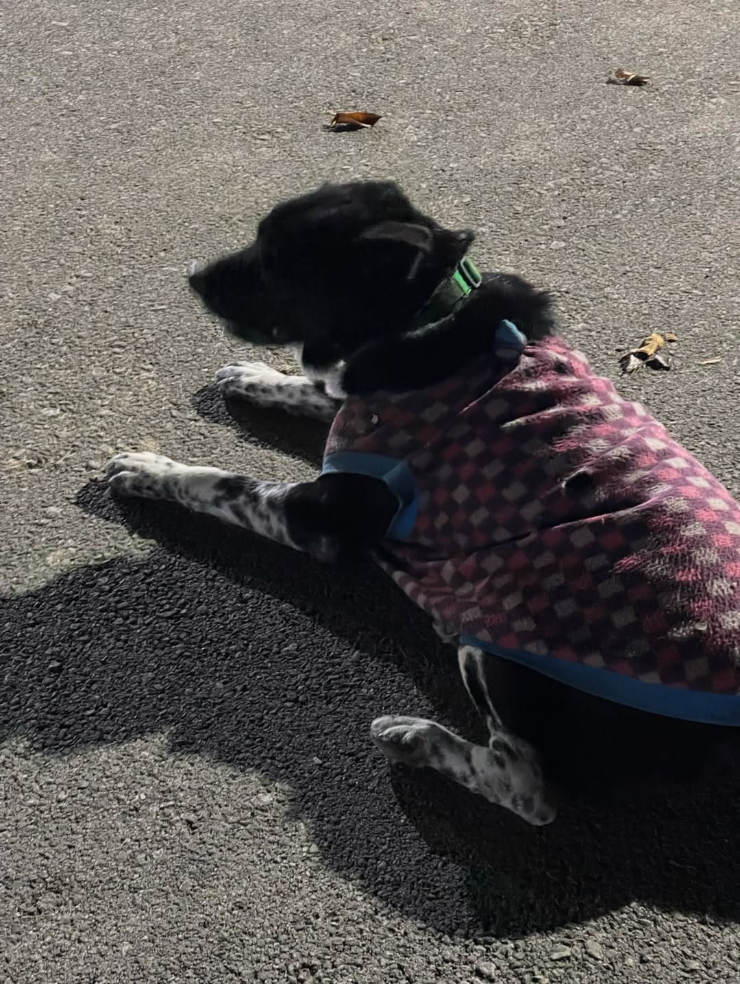 อาร์ม - วีรยุทธ จันทร์สุข